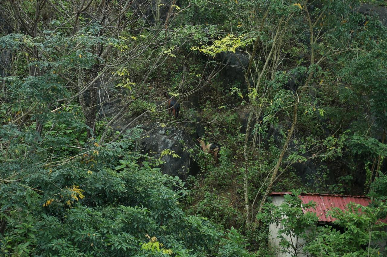 Gold Plus Hotel Phong Nha Exterior photo