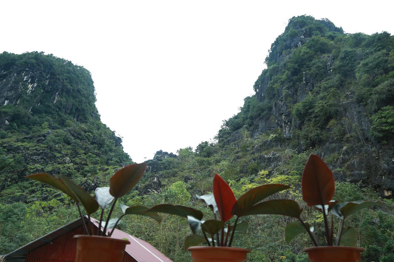 Gold Plus Hotel Phong Nha Exterior photo